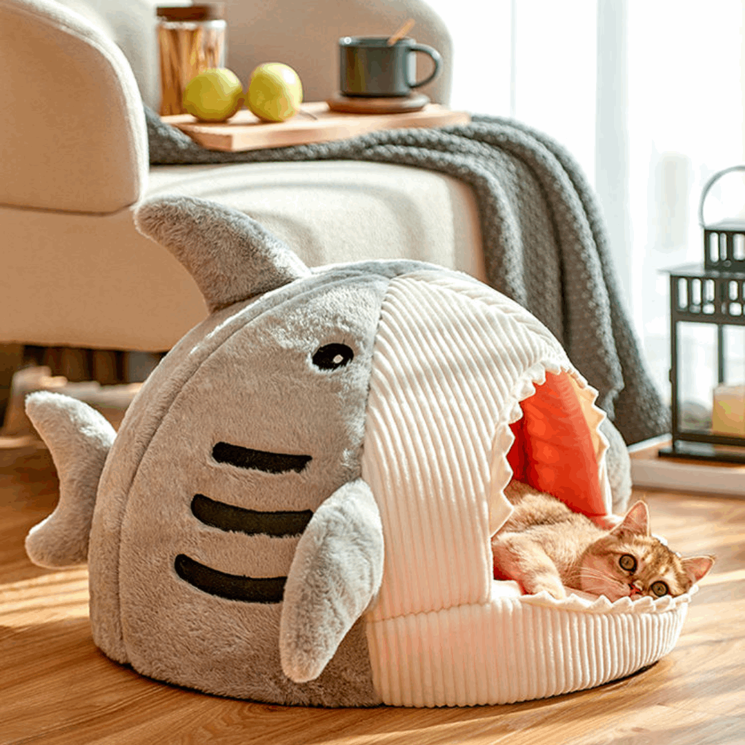 Buy Shark Pet Bed