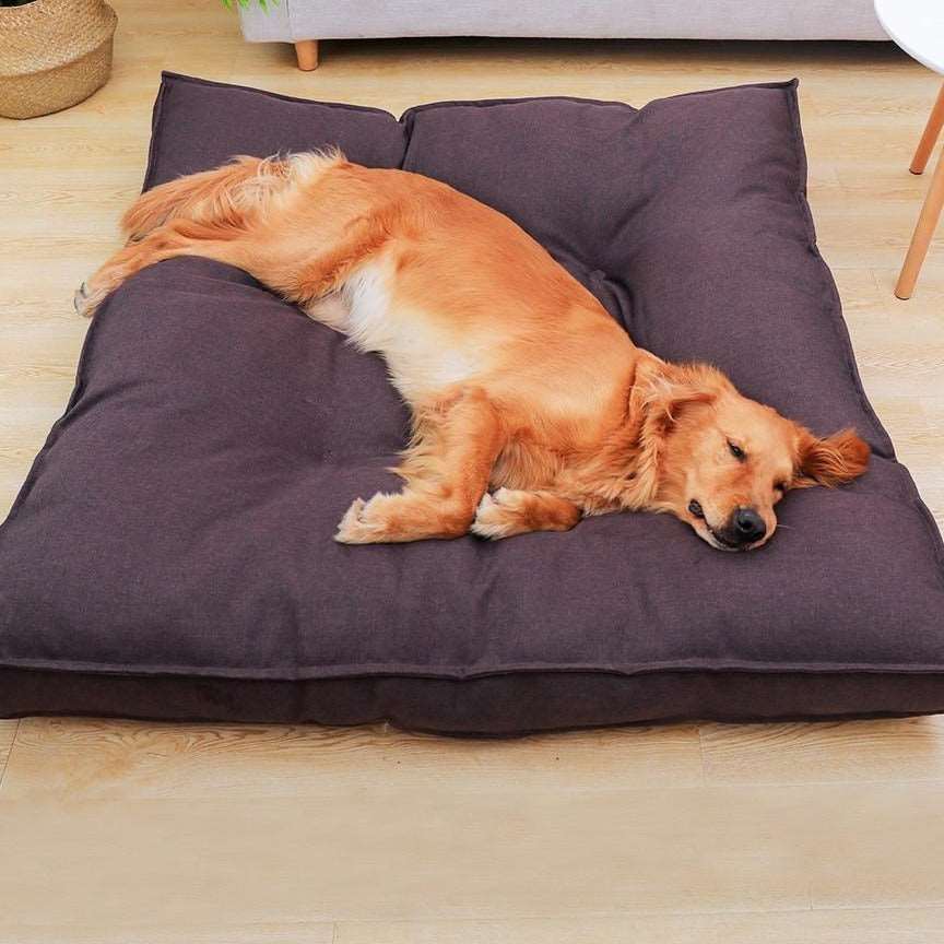 Bed for Dog