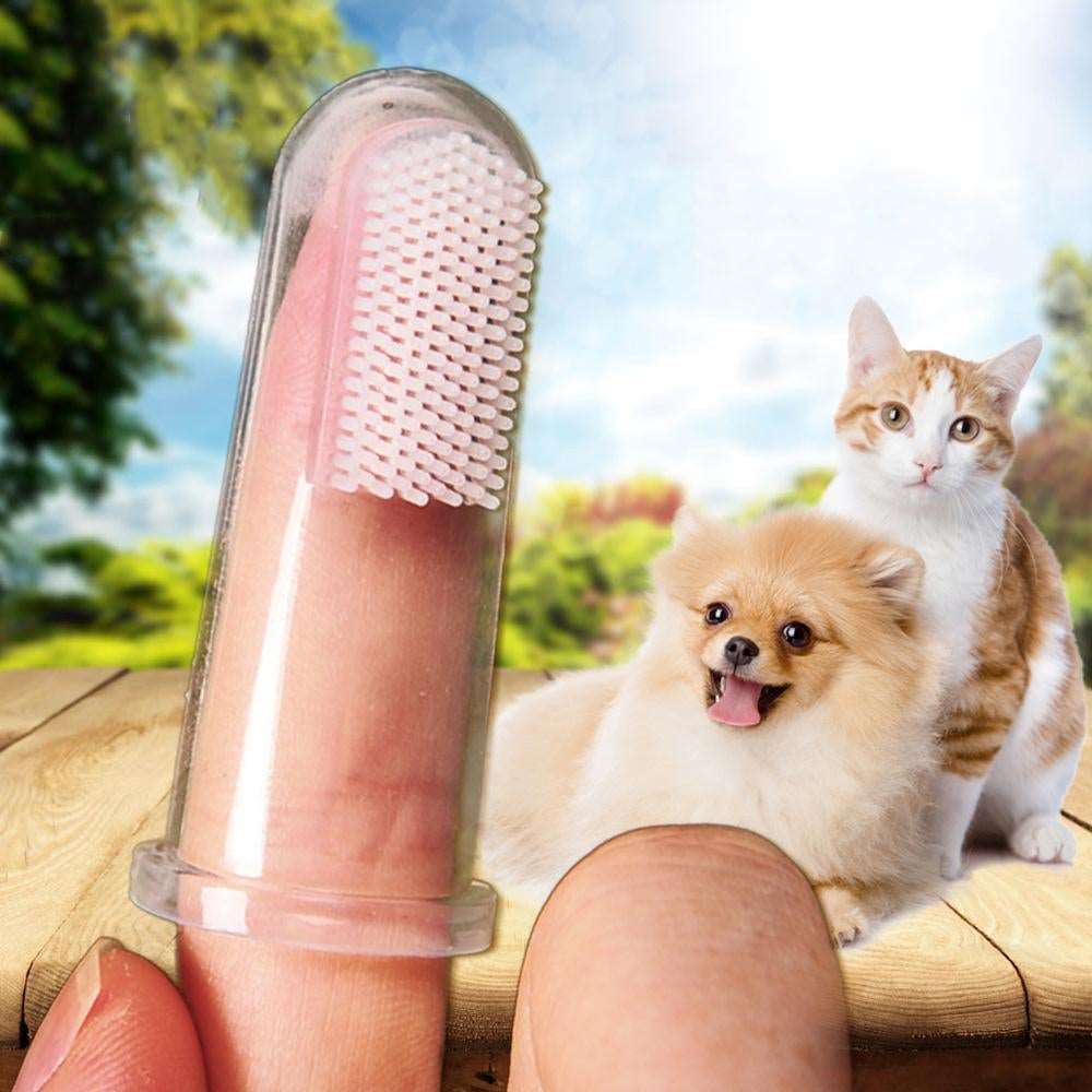 Finger Toothbrush for Pets