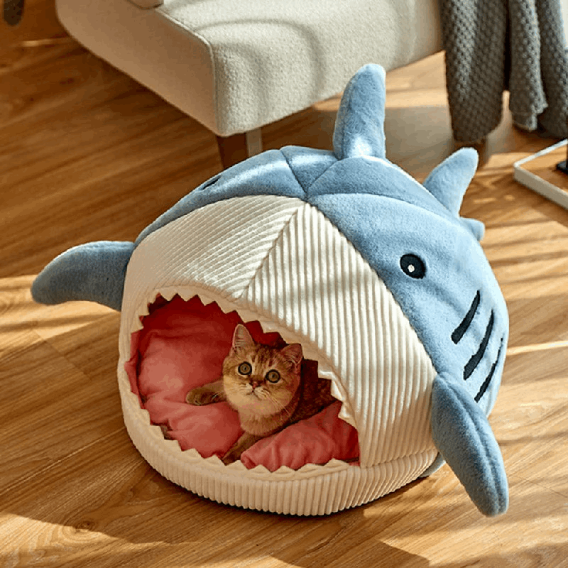 Best Shark Pet Bed 