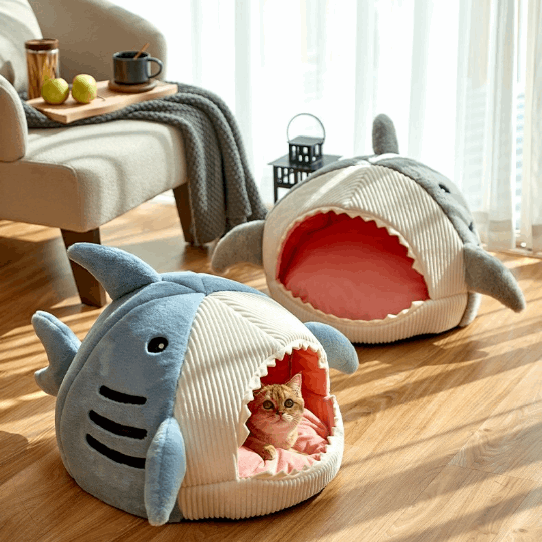 Best shark pet bed