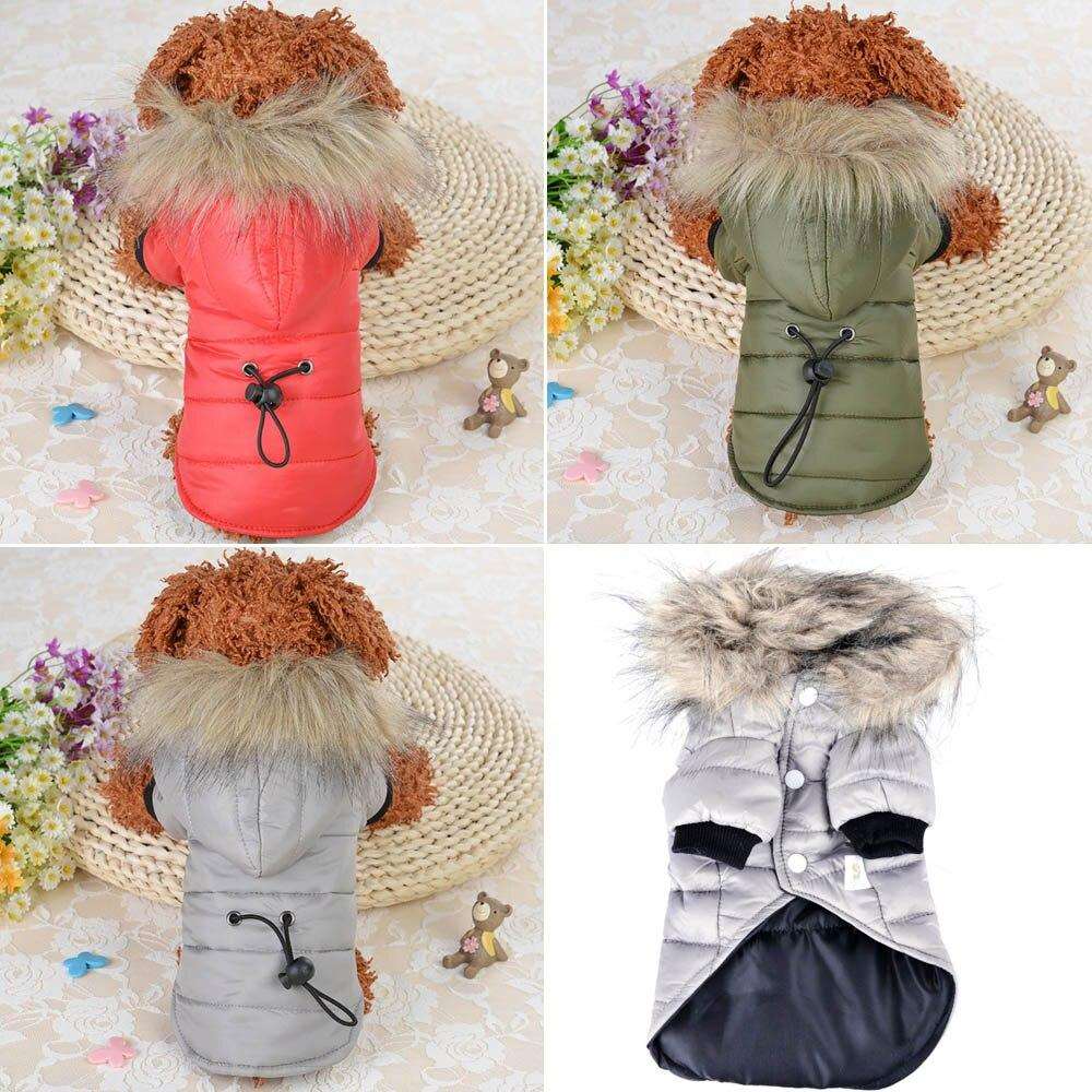Puppy Hooded Jacket