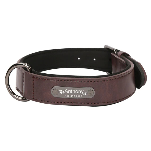 Luxury Personalized Leather Dog Collar & Leash (Laser Engraving)