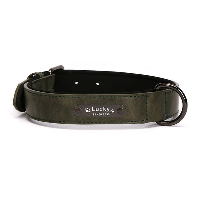 Luxury Personalized Leather Dog Collar & Leash (Laser Engraving)