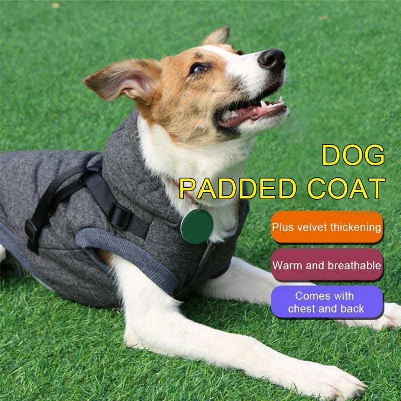 Dog Padded Coat