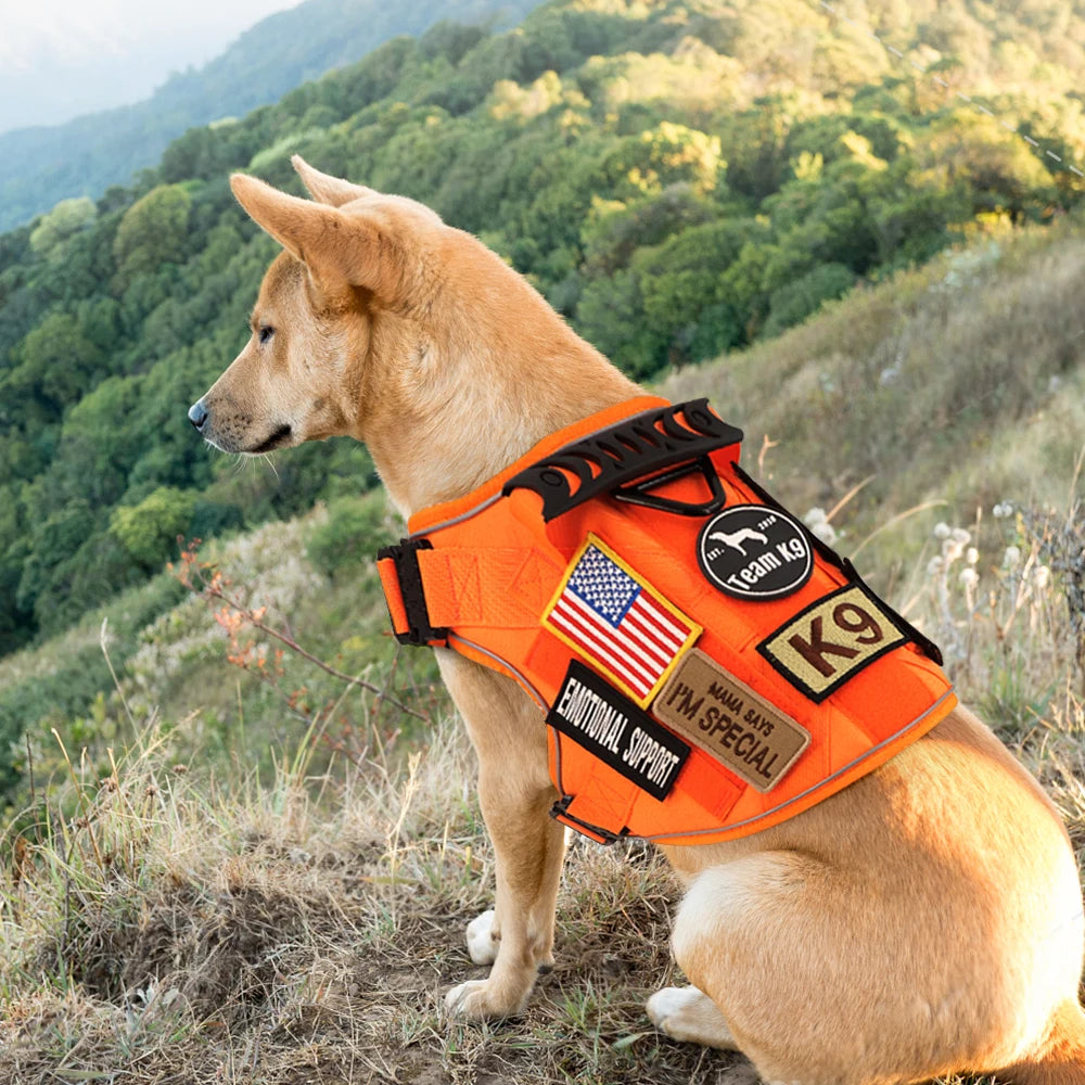 NEW Reflective Blaze Orange Team K9 No-Pull Tactical Dog Harness with 4 Metal Buckles, Reinforced Front V-Ring, & Reflective Strips