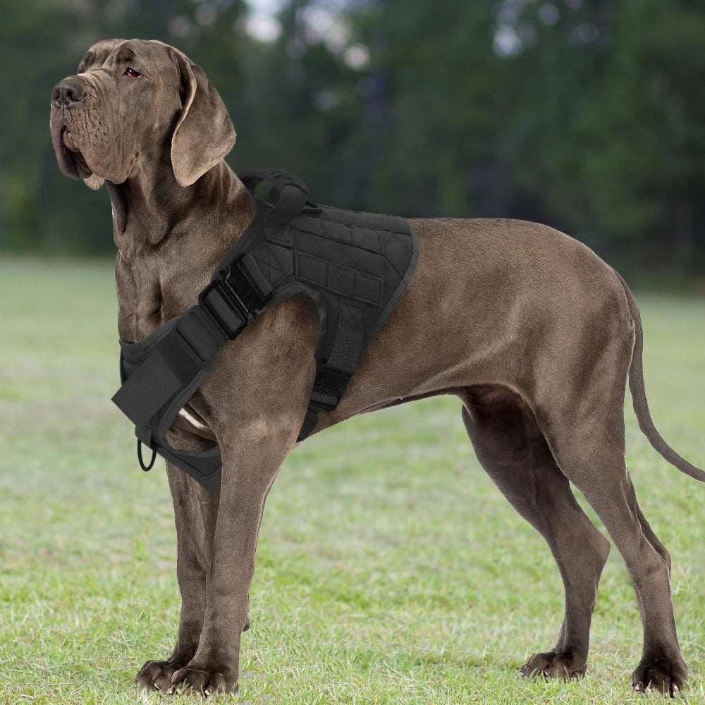 TACTICAL NO-PULL DOG HARNESS WITH 4 METAL BUCKLES & REINFORCED FRONT D-RING