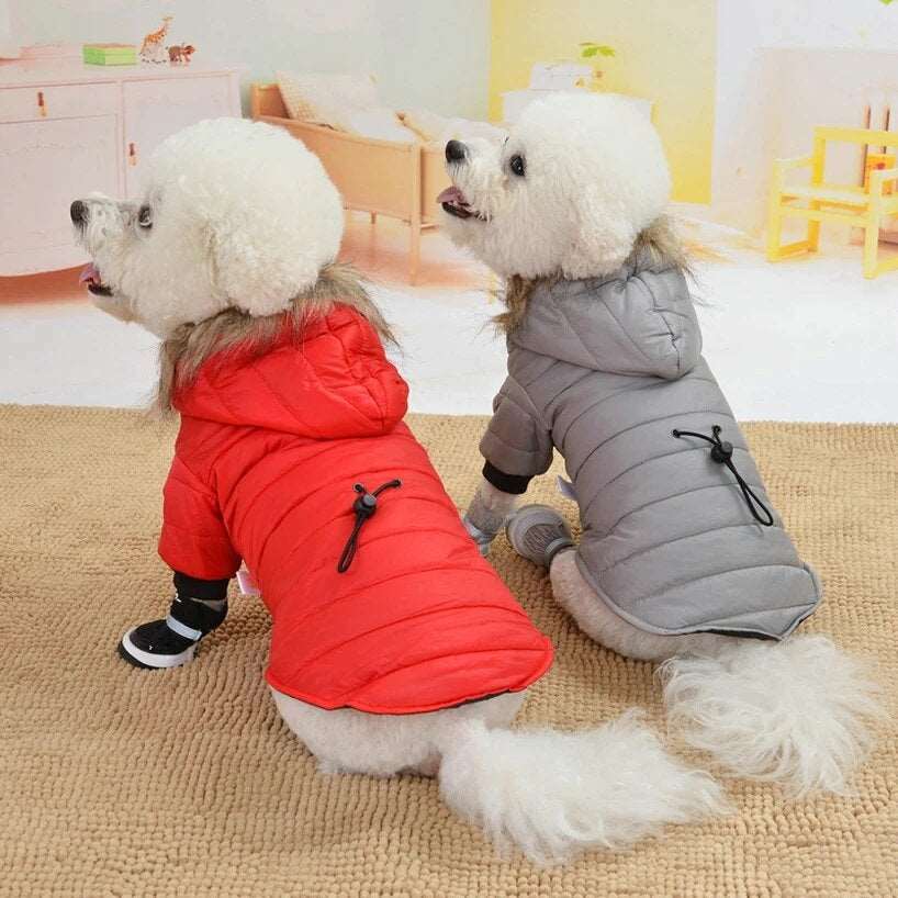Best Hooded Dog Coat