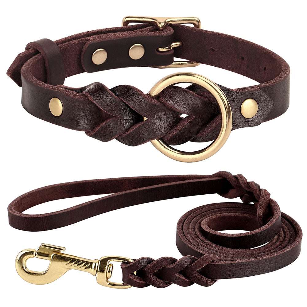Brown dog collar and leash set