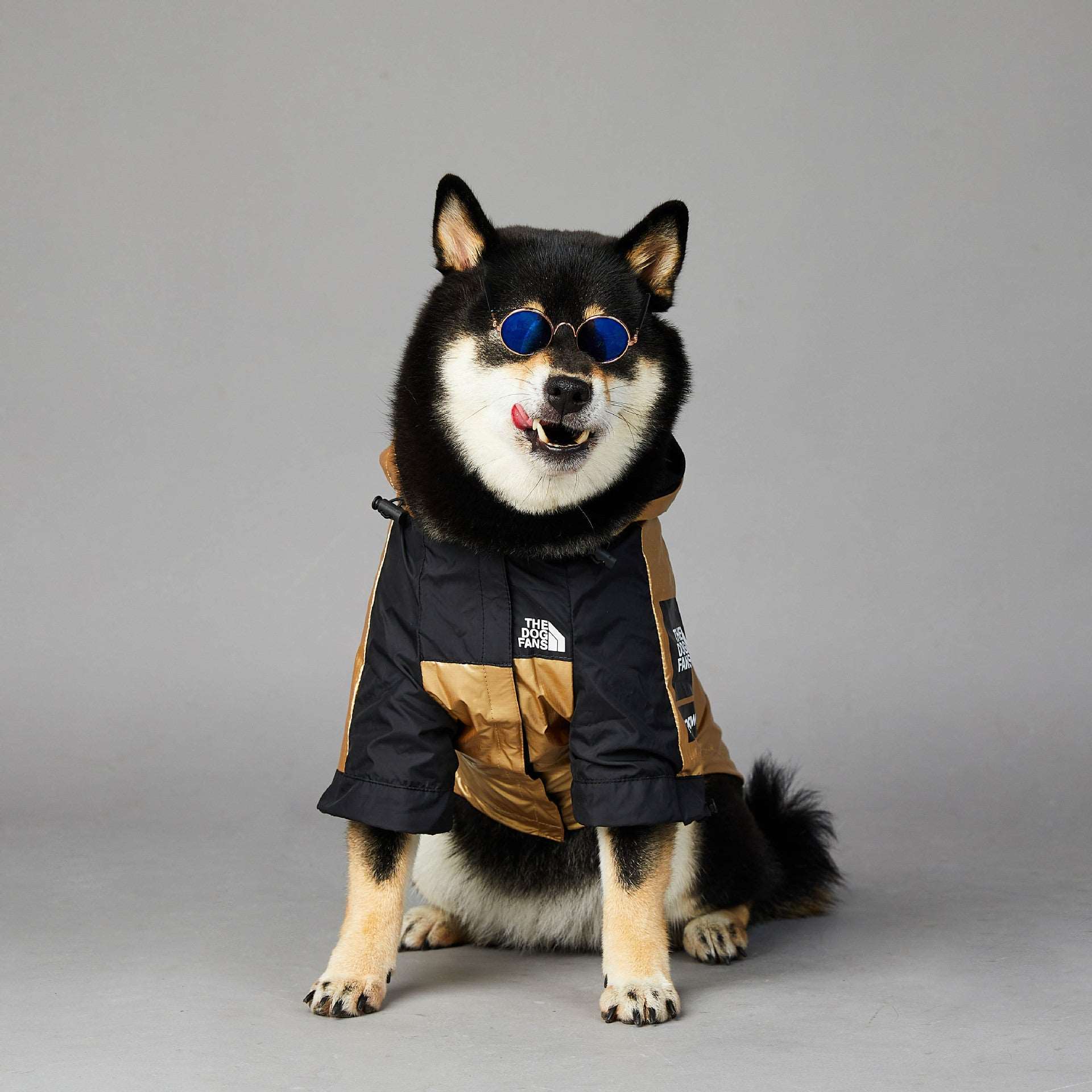 Dog Rain Jacket