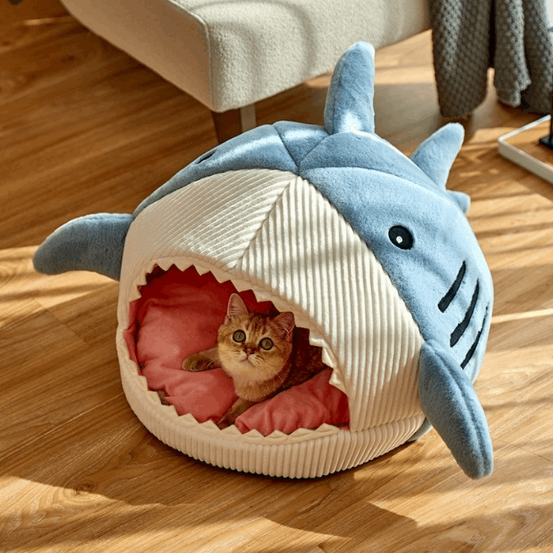 Shark pet bed