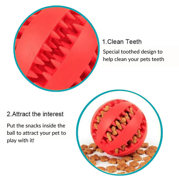 Doggie Treat Chew ball