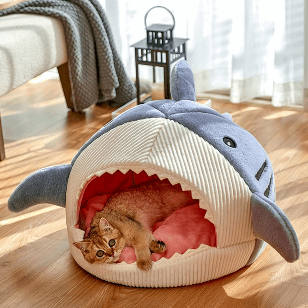 Shark Pet Bed 