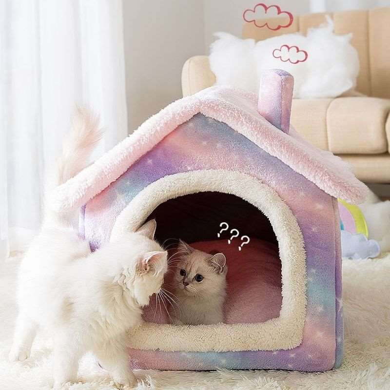 Buy Pet Beds House