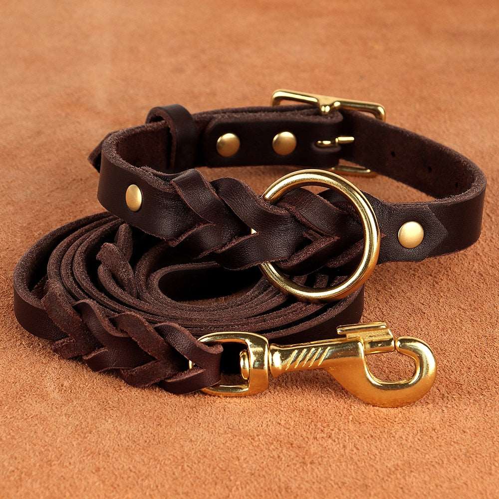 Dog Collar and Leashes
