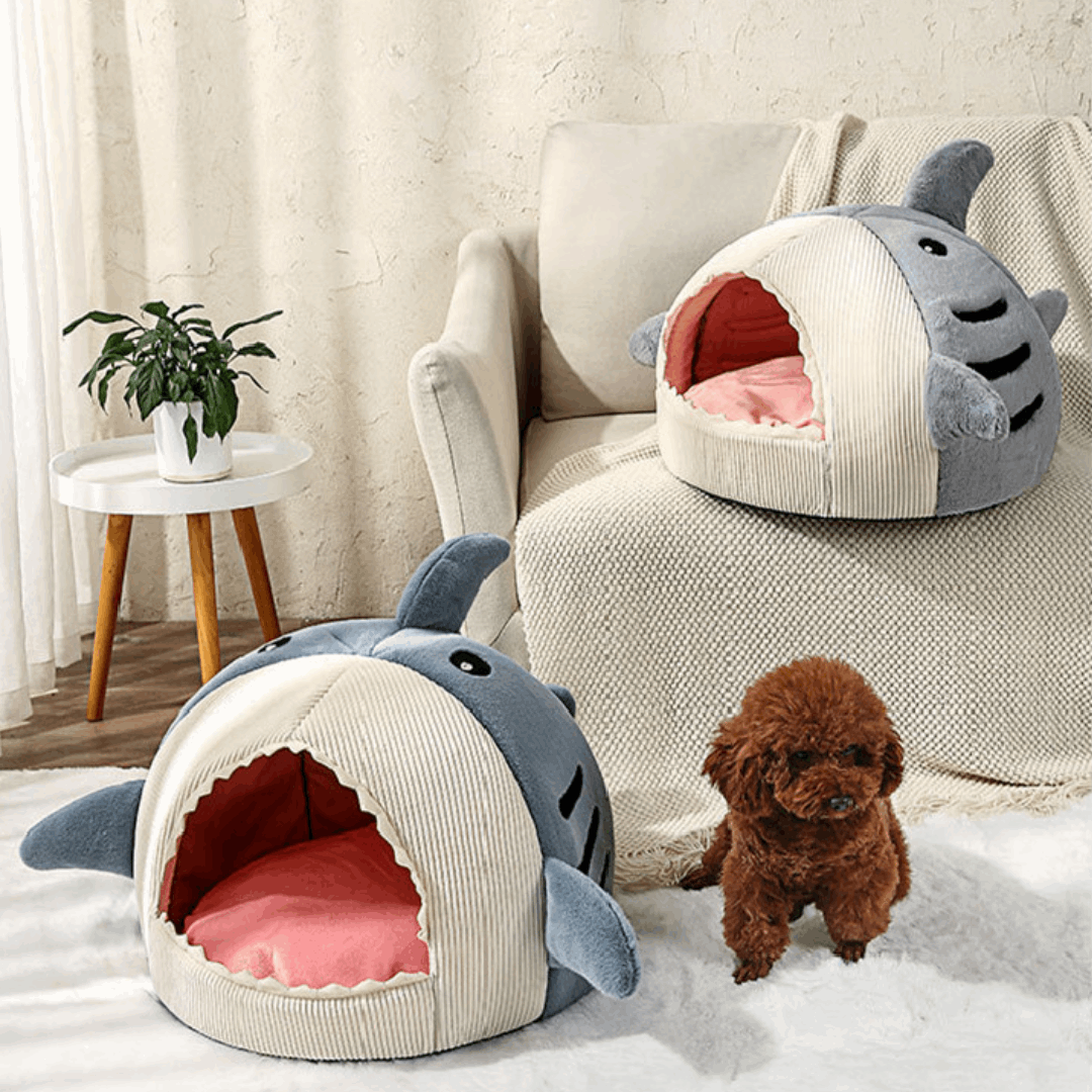  Shark shaped pet bed