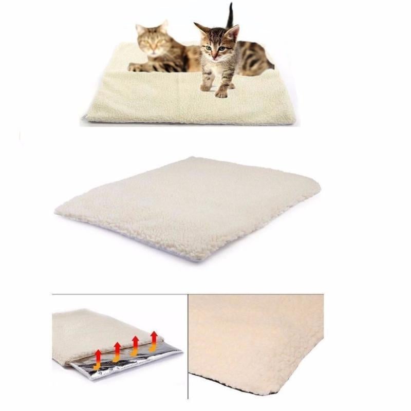 Best heating pet bed