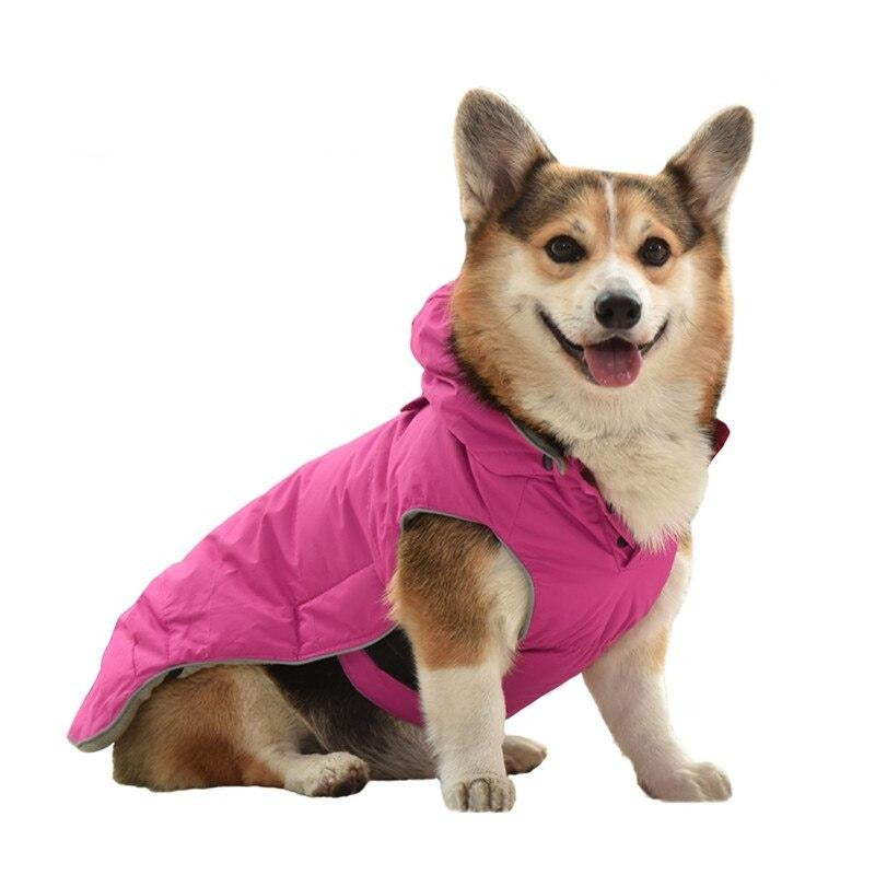 Harness Dog coats 