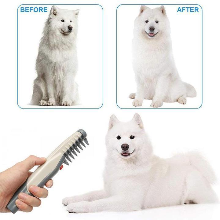 Best Electric Comb for pet Hair