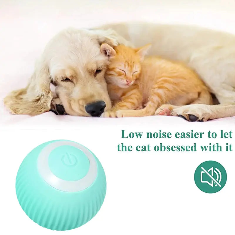 Interactive No-Noise Moving Ball Toy (Dogs & Cats)