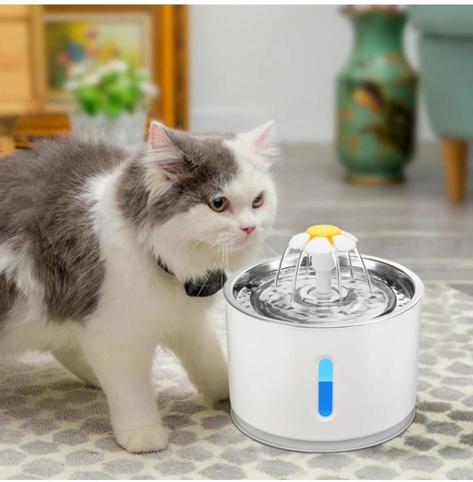 Buy Cat Water Fountain