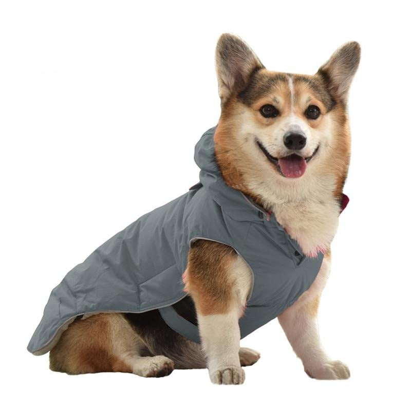 Best dog harness coat 