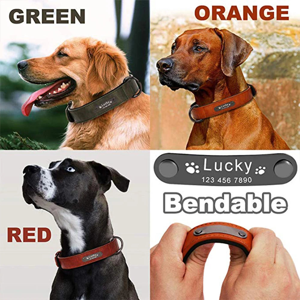 Luxury Personalized Leather Dog Collar & Leash (Laser Engraving)